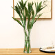 Yunwuya glass vase modern simple creative flower arrangement home decoration dried flower vase floral art large glass