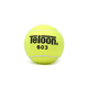 Teloon Tennis Training Ball for Beginners and Advanced Tennis Balls 603 Bags