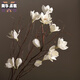 Aesthetic hacker Magnolia dry branches flower bouquet dry branches tree decoration magnolia flower bedroom living room floor natural jade white single branch