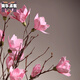Aesthetic hacker Magnolia dry branches flower bouquet dry branches tree decoration magnolia flower bedroom living room floor natural jade white single branch