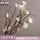 Aesthetic hacker Magnolia dry branches flower bouquet dry branches tree decoration magnolia flower bedroom living room floor natural jade white single branch