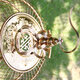 Flash Rabbit Plus Blumen plus Luxusversion Edelstahl Vogelkäfig Klassiker und elegant, Bruder Starling Round Cage mittelgroße Papageienbad Cage, Bronze plus Blumen plus Blumen 36