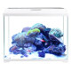 Sensen ultra-white glass integrated small fish tank AT-350B self-circulating ecological fish tank desktop ornamental aquarium