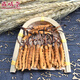 Zangxi hall tibet nagqu cordyceps haute altitude cordyceps cordyceps cordyceps cordyceps 2 1 gram intérieur 100 grammes