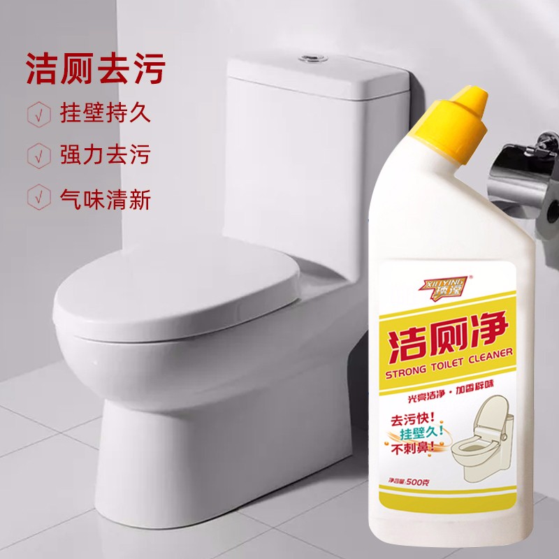 【500ml*2瓶装】洁厕净马桶清洁剂清香洁厕剂去异味家用除垢强力清洁洁厕液 2瓶装