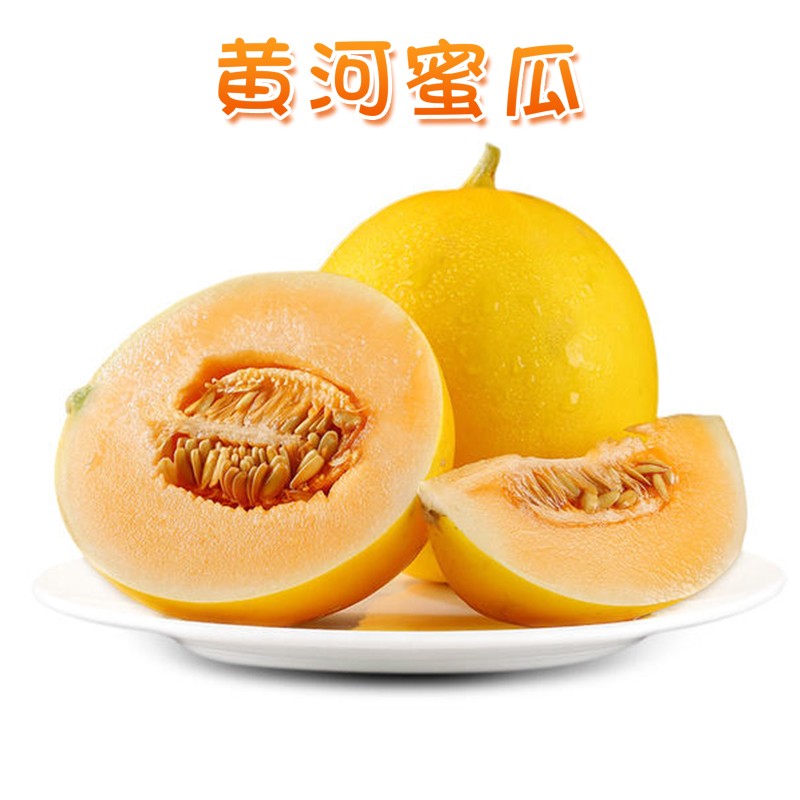 缅甸黄河蜜瓜9斤新鲜时令水果黄金脆甜瓜应当季小瓜哈密香瓜包邮