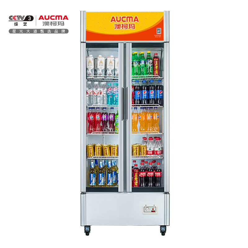 澳柯玛（AUCMA） 立式双门玻璃门展示柜 冷藏保鲜啤酒柜 