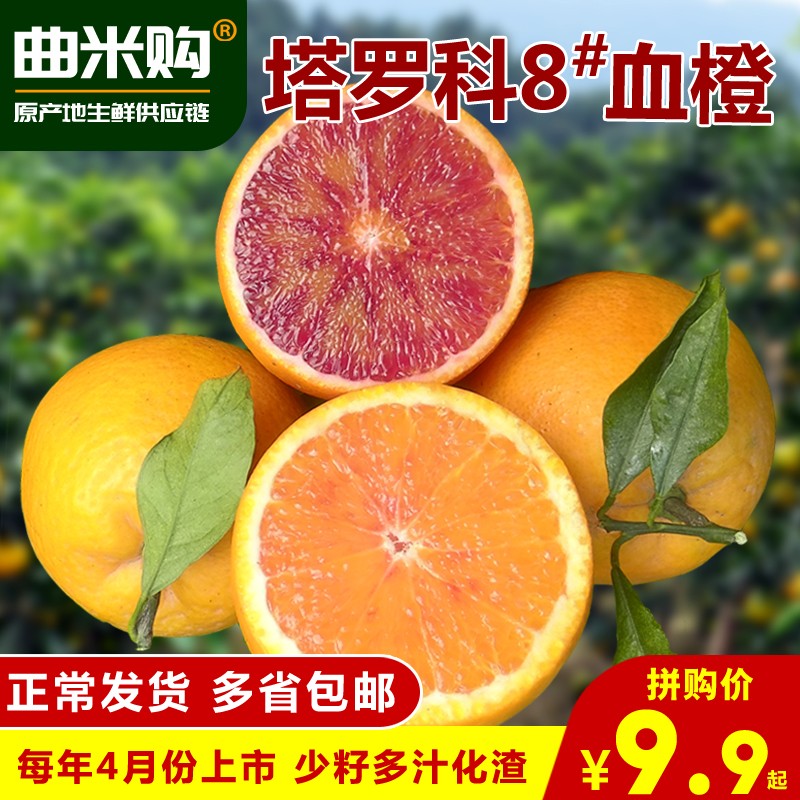 曲米购生鲜 四川资中塔罗科血橙8号晚熟血橙 当季新鲜橙子产地直发 净重5斤中果单果约120g