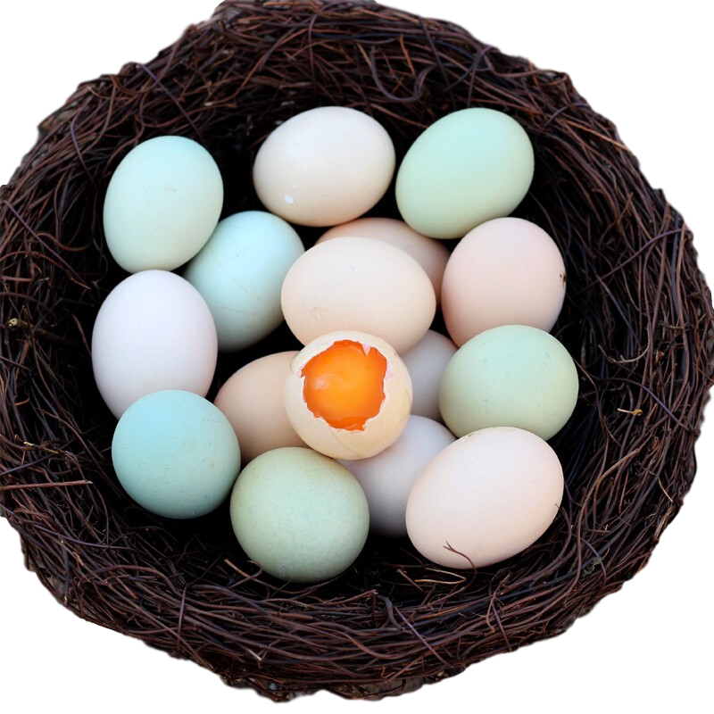 【五彩柴鸡蛋40枚】杂粮喂养草鸡蛋笨鸡蛋  现捡现发走地鸡蛋 绿壳白壳粉壳混装40枚