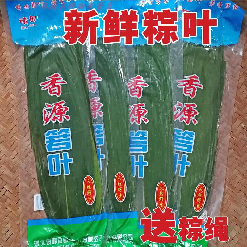 粽叶 新鲜粽子叶 真空装鲜粽叶野生小箬叶棕叶200片4袋 棕