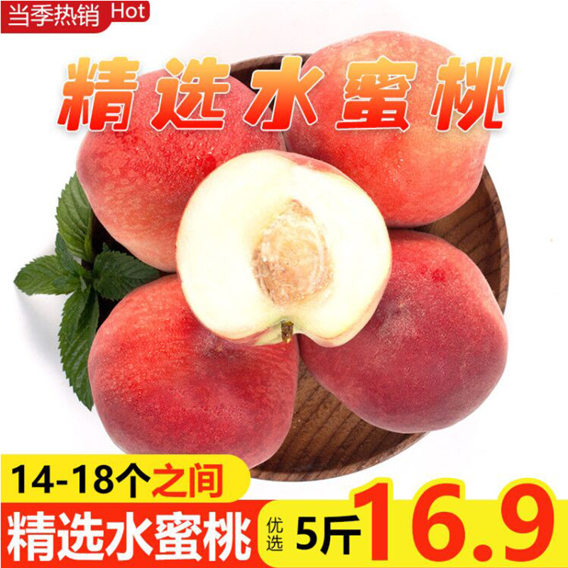 【到手价8.8元】寻天果蔬  新鲜水蜜桃毛桃京东生鲜水果时令水果现摘现发 约2.5kg