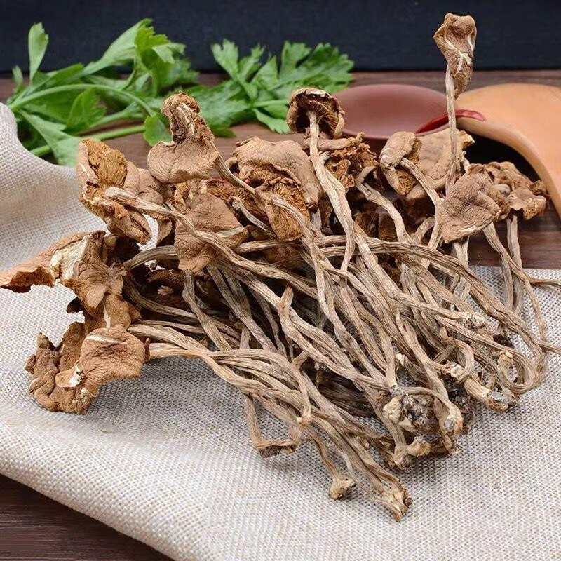 开伞茶树菇/小香菇干货香菇冬菇特级干蘑菇短根肉厚农家干货特产