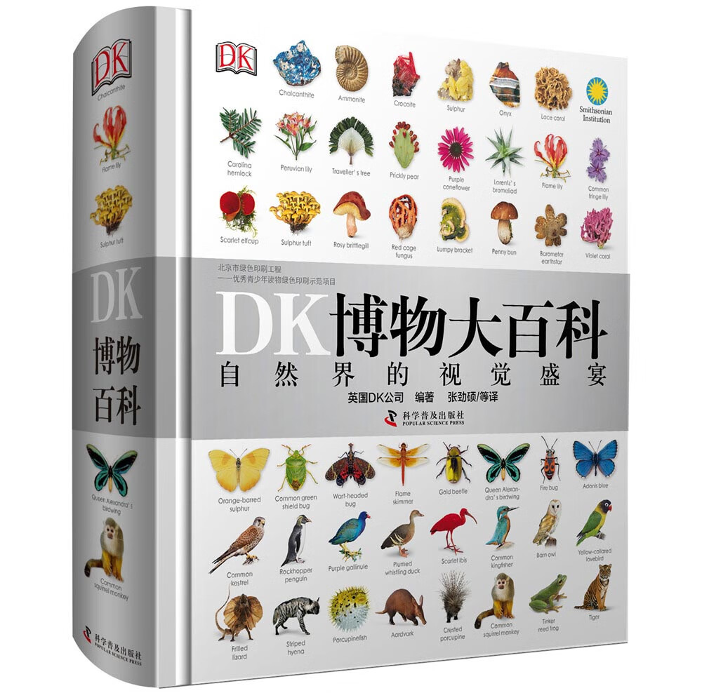 DK儿童百科全书 儿童书籍 自然界的视觉盛宴 DK博物大百科中文版