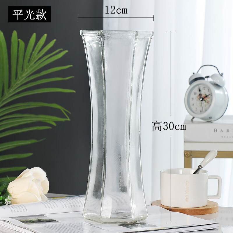 玻璃花瓶透明水养富贵竹百合花瓶摆件客厅插花干花北欧家用特大号 平光款（1只） 大