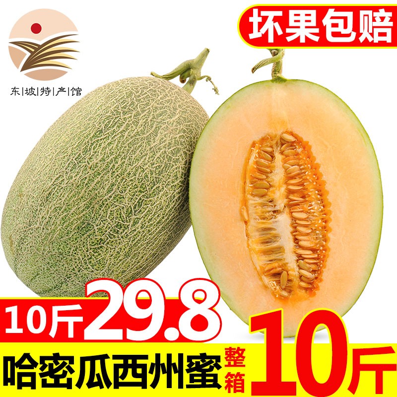 【东坡馆】西州蜜25号哈密瓜10斤/箱 新鲜水果蜜瓜香瓜甜瓜