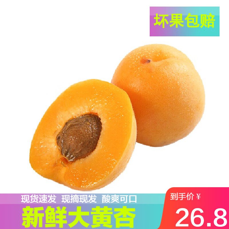 大黄杏 杏子 新鲜黄杏子 农家酸甜水果 2500g