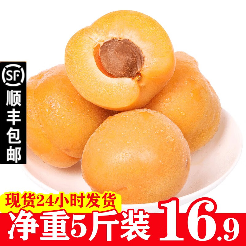 【顺丰现货】大黄杏5斤农家新鲜甜杏子酸甜水果 5斤装
