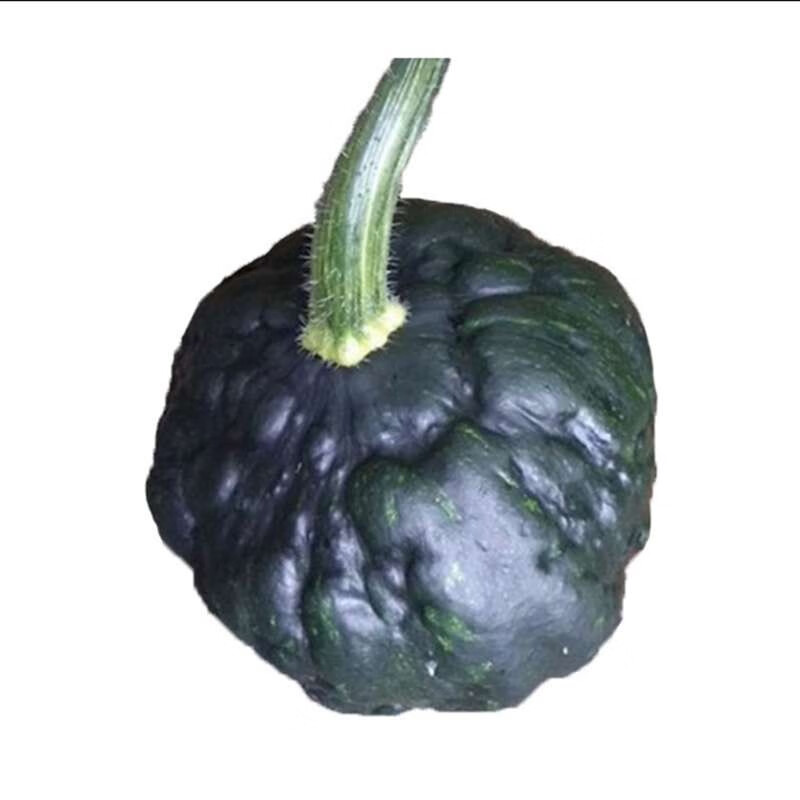 板栗南瓜新品种日本黑疙瘩南瓜板栗小南瓜5斤 南瓜新鲜蔬菜 5斤