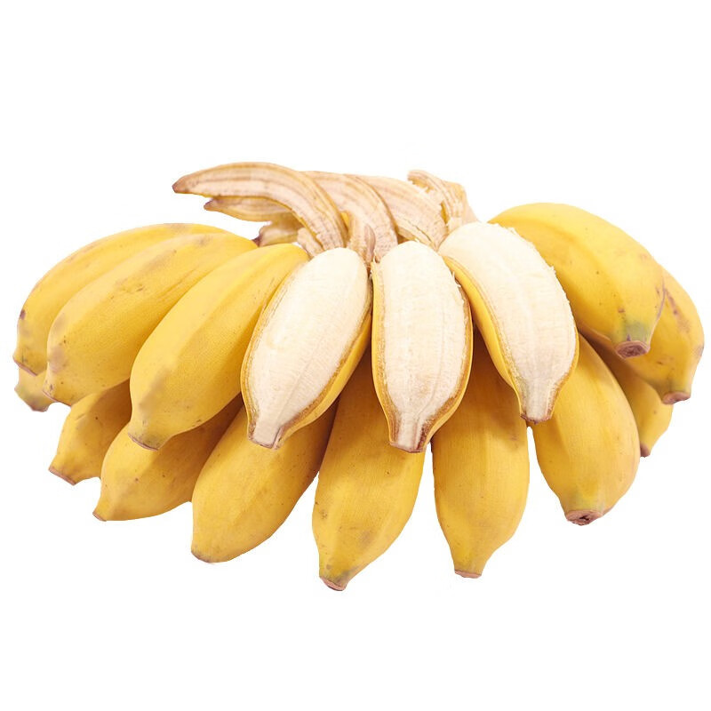 广西小米蕉新鲜应季水果农家西贡蕉粉蕉小芭蕉（坏果包赔） 5斤净重 特惠装