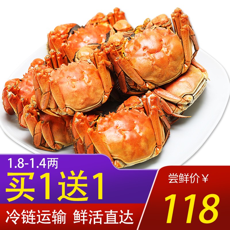 【活蟹】湖中捞 六月黄大闸蟹现货1.4-1.8两 6只装鲜活螃蟹礼盒