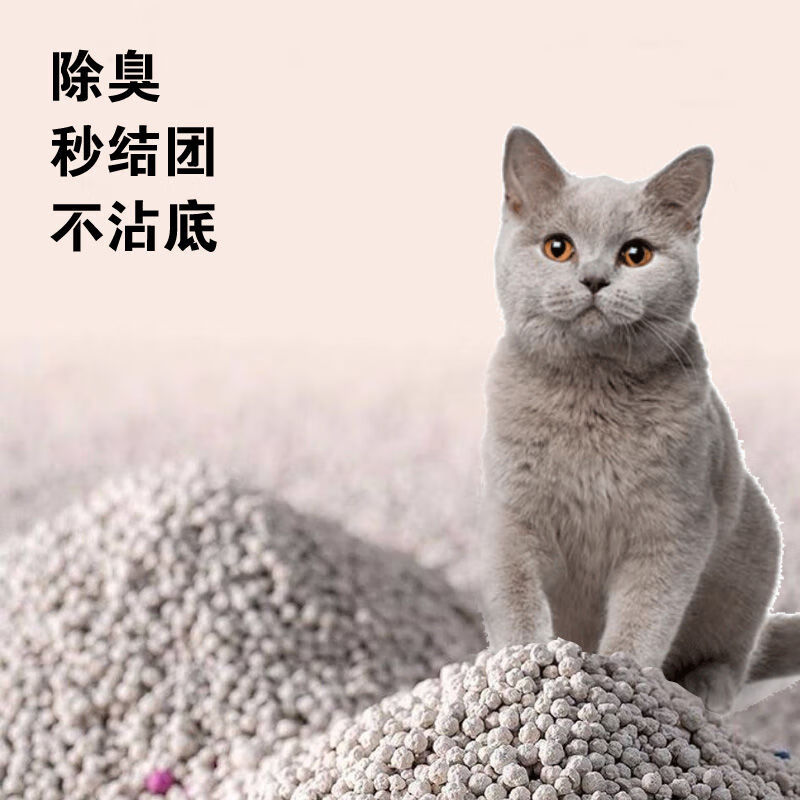 除臭10斤猫砂大颗粒低尘不沾爪秒结团膨润土球砂 10斤低尘精品猫砂