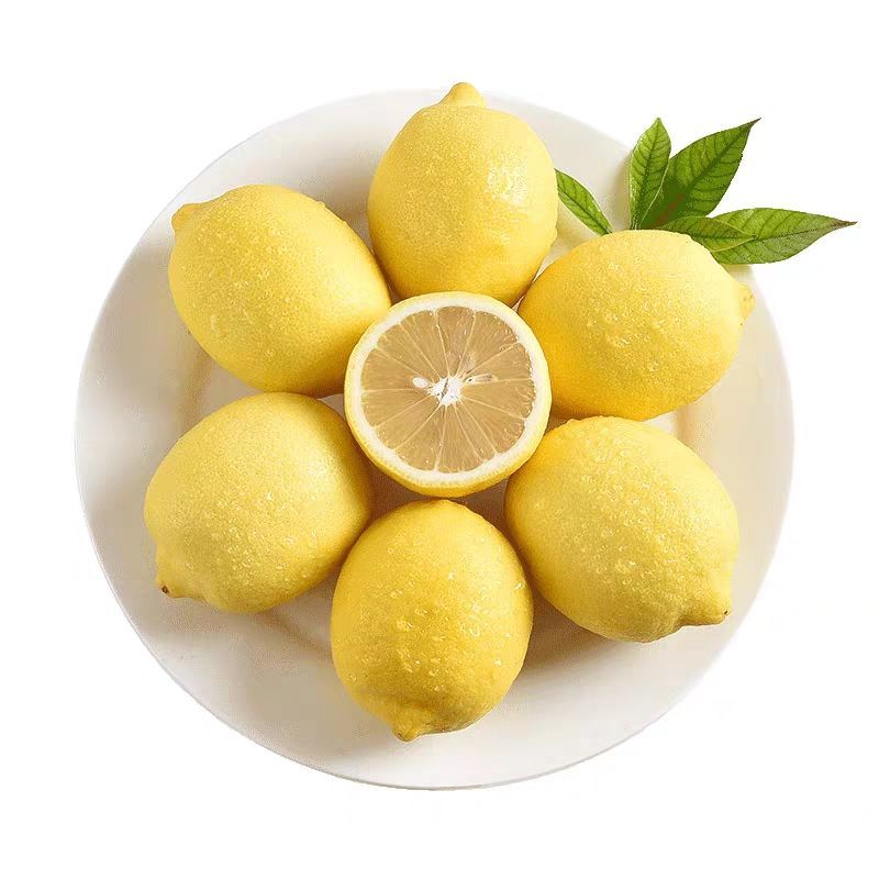 l柠檬新鲜黄柠檬片泡水安岳新鲜水果柠檬无籽果园直发薄皮金桔柠檬 特小果10个装(20-70g)