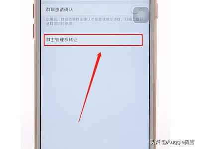 怎么转让群主