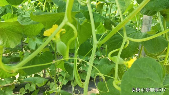 怎么发家致富 怎么发家致富