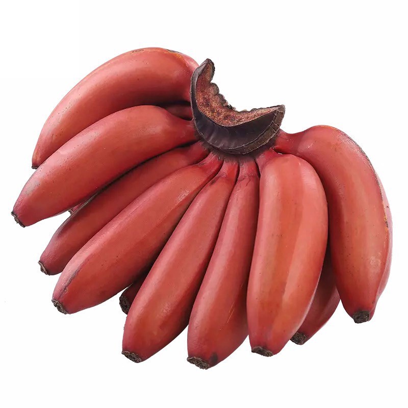 【现货直发】红皮香蕉 新鲜热带水果红香蕉京东生鲜带箱 5斤