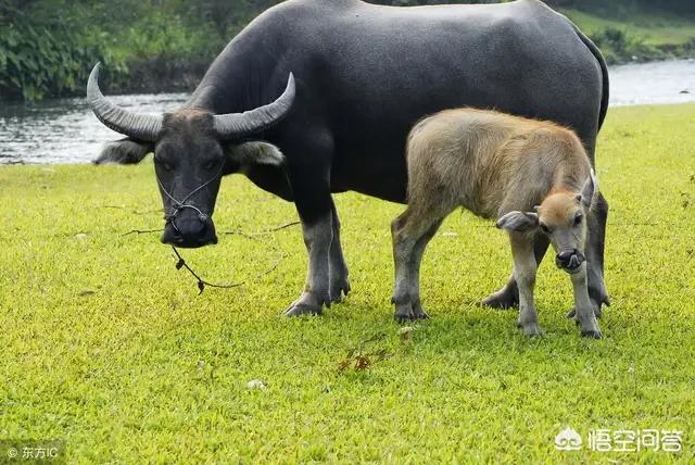 怎么能快速赚钱