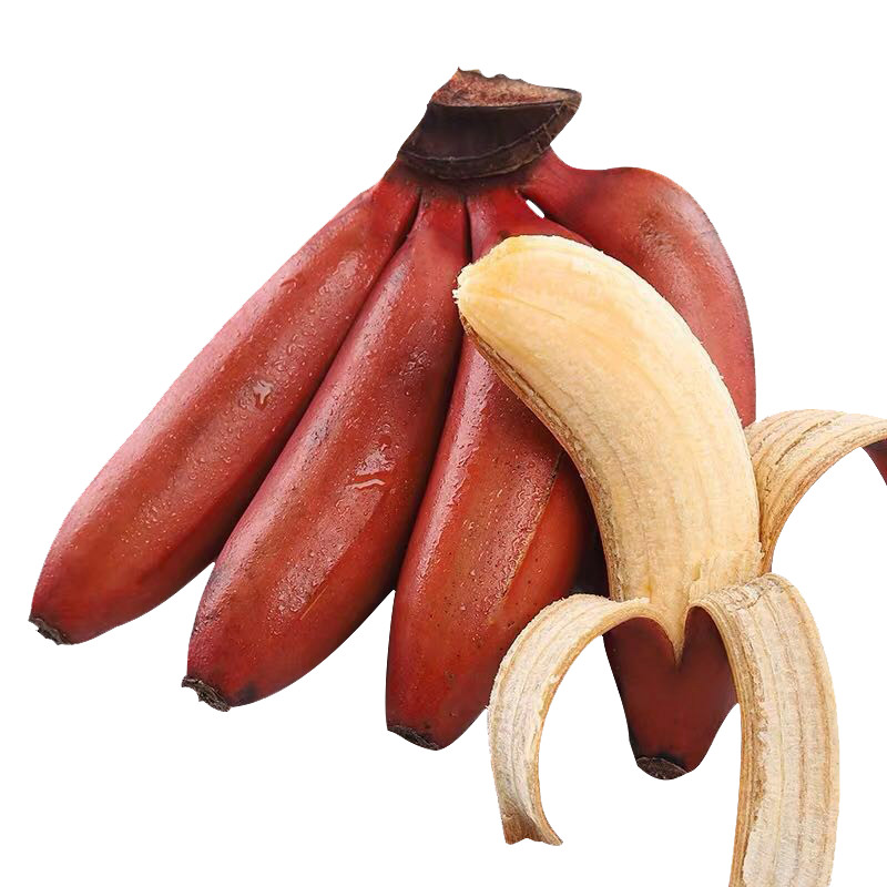 帆享鲜果 福建红美人香蕉新鲜当季红皮香蕉孕妇水果 带箱5斤