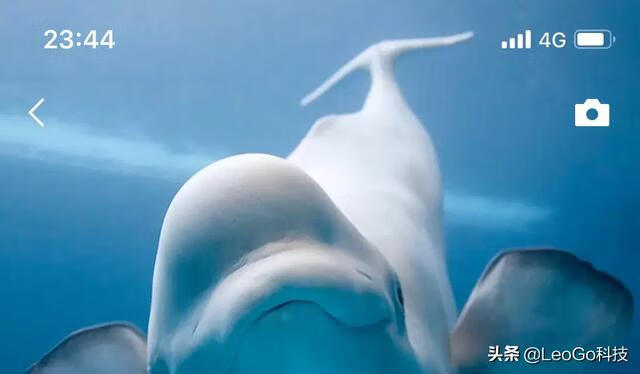 微信怎么发朋友圈 微信怎么发朋友圈