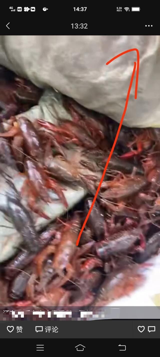 微信朋友圈怎么转发 微信朋友圈怎么转发