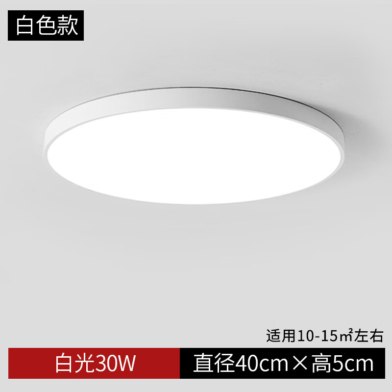 led吸顶灯圆形现代简约客厅卧室灯餐厅玄关灯办公室阳台灯具 白40cm白光24W