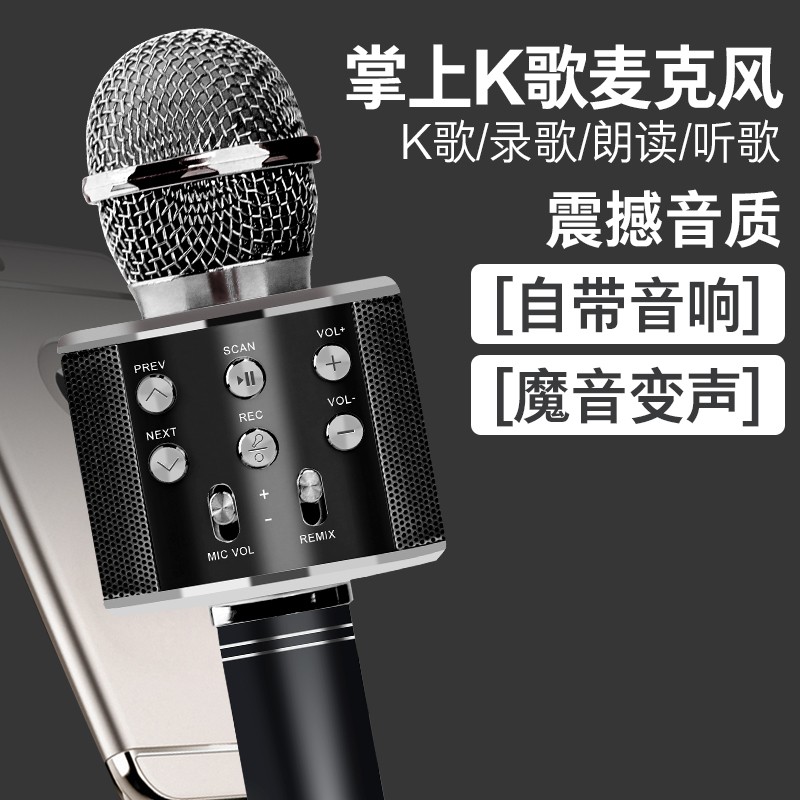 EANE  手机麦克风全民K歌儿童音响话筒一体唱歌神器无线蓝牙家庭ktv变声器直播声卡 星空黑