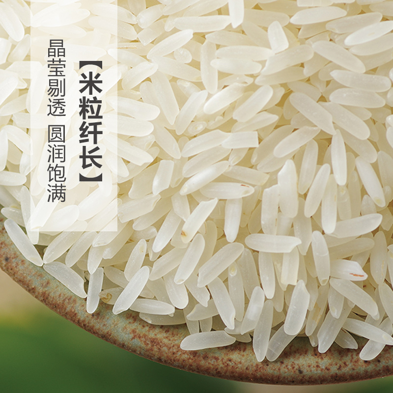 鲜虾王香软米公斤/袋 10斤非稻花香 丝苗米香米长粒香籼米油粘米