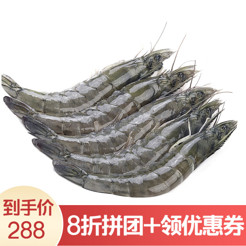 虾鲜活大虾海鲜水产超大活虾对虾海虾青虾鲜虾青岛大虾4斤 1500g 10-13cm