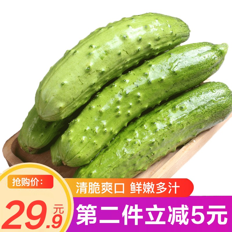 水果小黄瓜新鲜小青瓜特产时令生鲜蔬菜 3斤