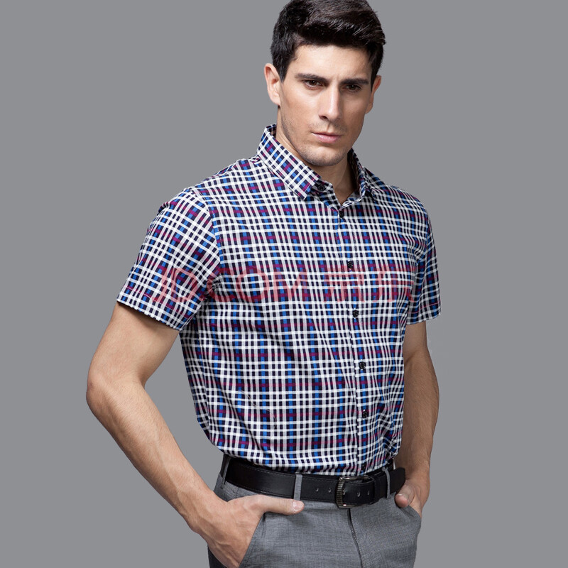 男装 衬衫 乐府(lefu) 乐府100%纯棉双丝光棉 格子印花条纹男士商务