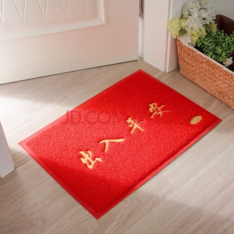 入户门门垫脚垫门口塑料防水pvc丝圈出入平安进门毯家用门外迎宾垫
