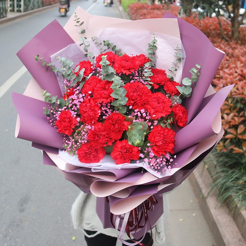 绿依人 康乃馨鲜花速递预定送妈妈长辈老师全国同城配送指定日期送花