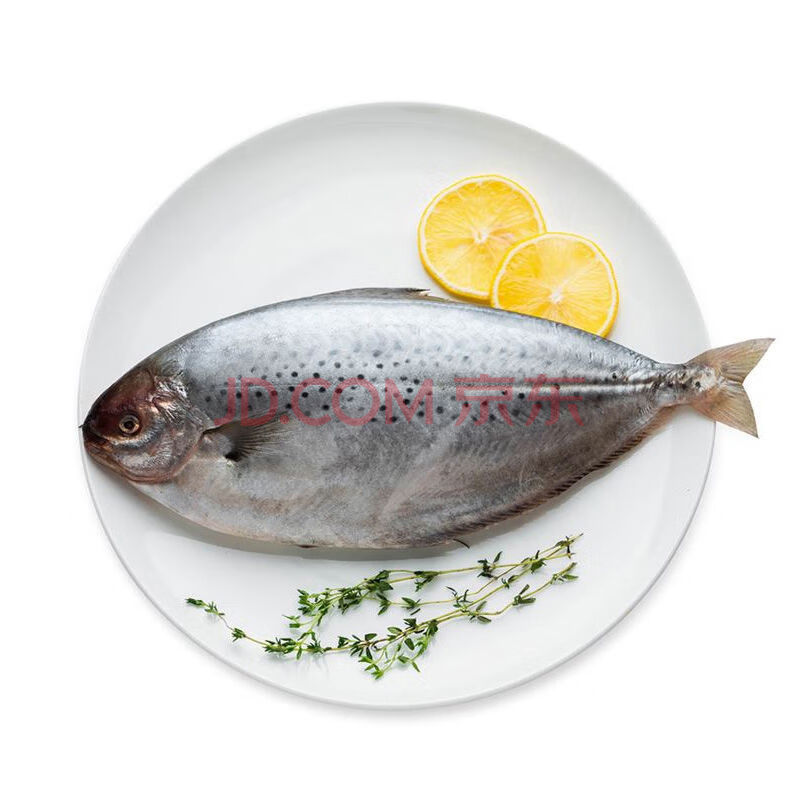 南极深海雪花鲳鱼鳕花鲳鱼进口海捕鲜冻雪花鲳鱼肉质鲜美营养顺丰