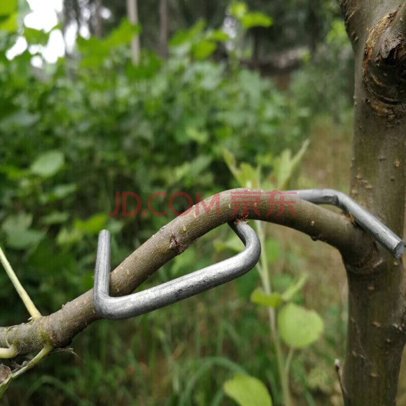 果树别枝器sm型弯枝器开角器柑橘苹果树拉枝器果树压枝拨枝定型器调式