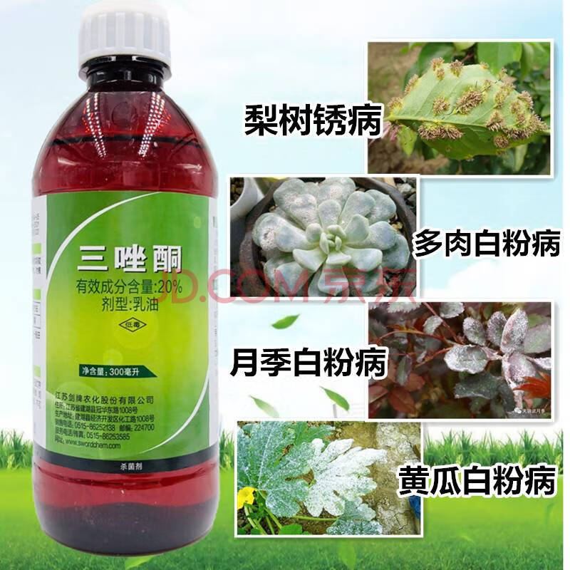 三唑酮月季白粉病药多肉三坐酮剂粉锈宁梨黄瓜植物锈病专用药 70ml