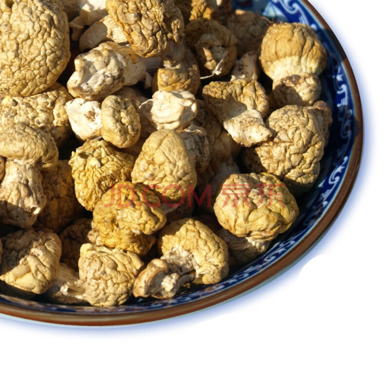石渠白菌2019年石渠白菌黄蘑菇甘孜州高原特产煲汤炖鸡100克1件