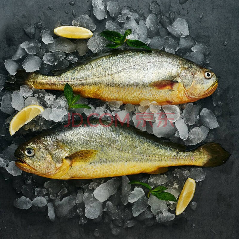 溪南海福建宁德东海小黄鱼海捕鲜活速冻小黄花鱼5-1斤冰鲜深海海鲜
