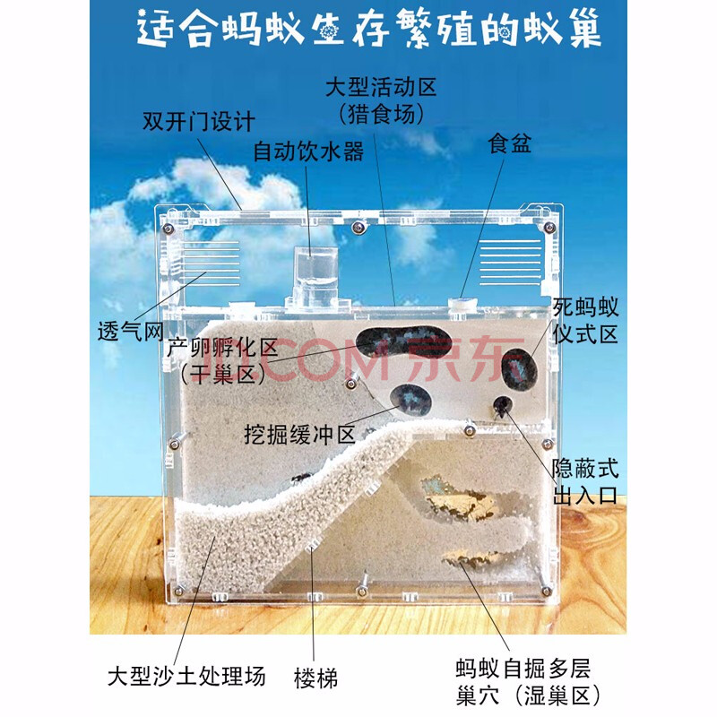 2020蚂蚁工坊 加蚂蚁庄园蚁后 蚂蚁城堡沙巢沙堡 养蚂蚁宠物蚁巢 白色