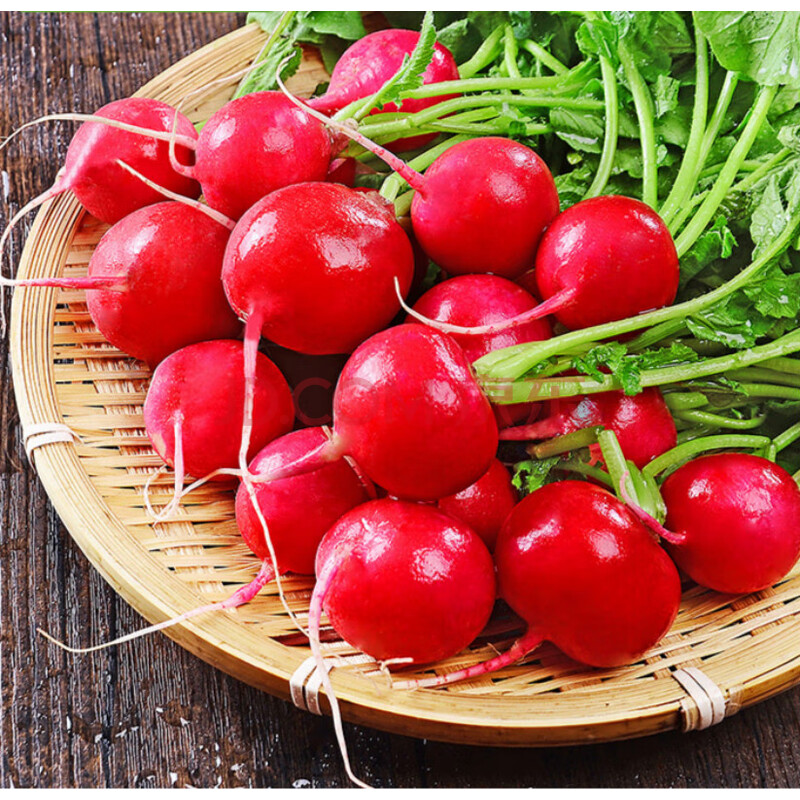 东北新鲜樱桃萝卜 当季水果小红萝卜特产胡萝卜蔬菜 8斤