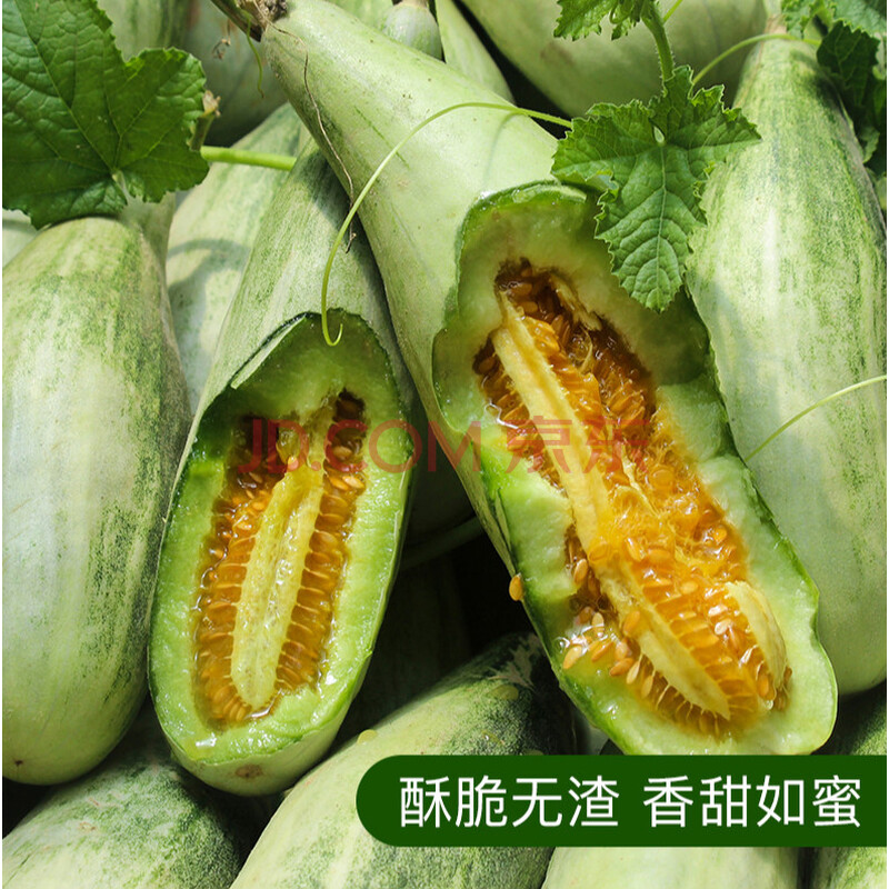 山东博洋6号61号羊角蜜甜瓜蜜瓜新鲜应季现季水果香脆瓜5斤