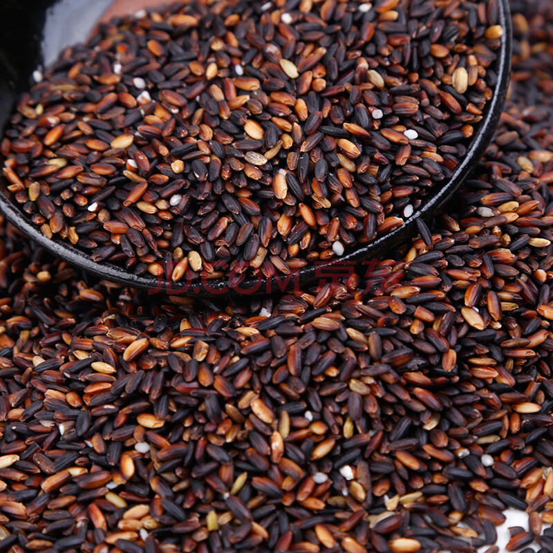 新货黑糯米 鸭血糯5斤装正宗血糯米 糯米奶茶原料农家杂粮 10斤